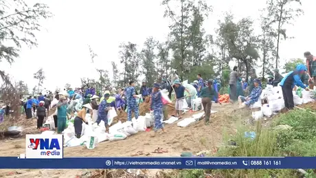 Bộ Quốc phòng chỉ đạo ứng phó khẩn cấp bão số 10