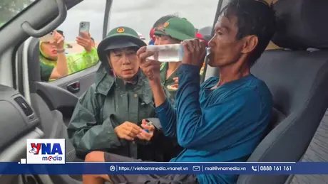 8 thuyền viên các tàu cá gặp nạn đã vào bờ an toàn