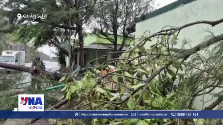 Quảng Trị tập trung khắc phục hậu quả bão số 10