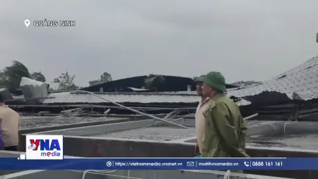 Giông lốc khiến 9 người bị thương ở Đầm Hà (Quảng Ninh)