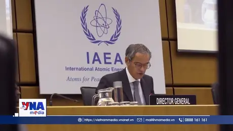 Tổng Giám đốc IAEA tuyên bố về tranh cử Tổng Thư ký LHQ