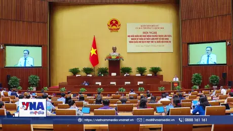 Hội nghị đại biểu Quốc hội chuyên trách