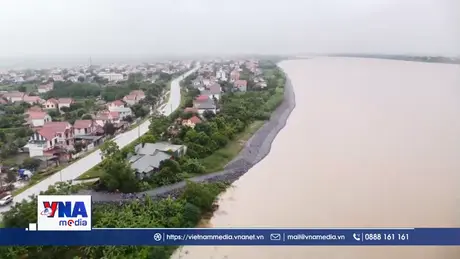 Triển khai công tác đảm bảo đê điều ứng phó lũ trên các sông