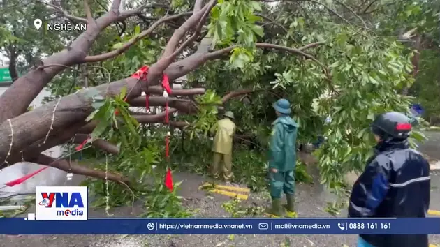 Nghệ An dọn dẹp cây đổ, khai thông các tuyến đường