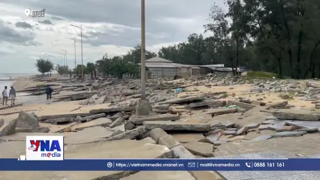 Sạt lở nghiêm trọng ven biển Thuận An