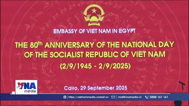 Thúc đẩy quan hệ Việt Nam - Ai Cập toàn diện và thực chất 