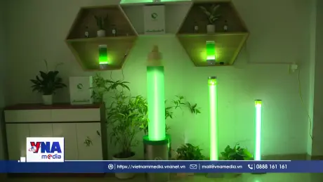 Nghị quyết 57: Đèn tảo sinh oxy tươi made in Việt Nam