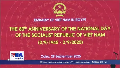 Thúc đẩy quan hệ Việt Nam - Ai Cập toàn diện và thực chất 