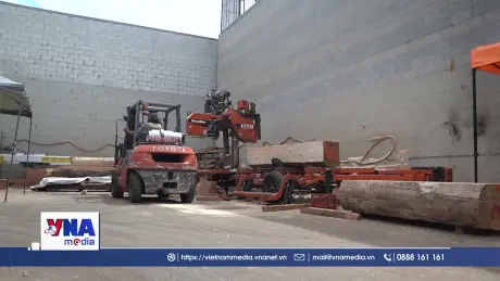Mỹ áp thuế cao đối với gỗ và đồ gỗ nhập khẩu
