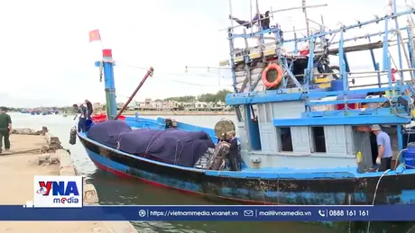 Quảng Ngãi ngăn chặn, xử lý nghiêm tàu cá vi phạm khai thác IUU