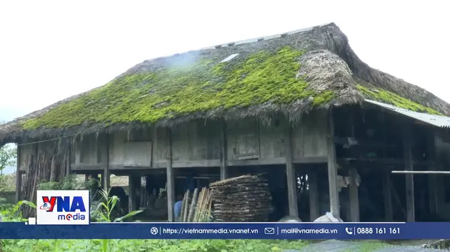 Giữ hồn nhà rêu dưới chân Tây Côn Lĩnh