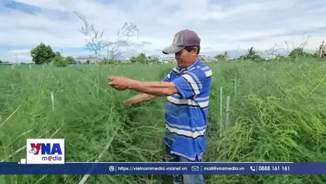 Khánh Hòa hỗ trợ vùng đồng bào thay đổi tư duy sản xuất