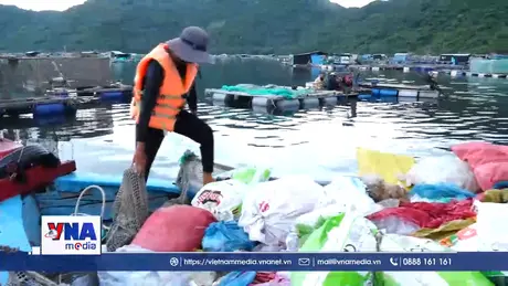 Chung tay bảo vệ môi trường vịnh Vũng Rô