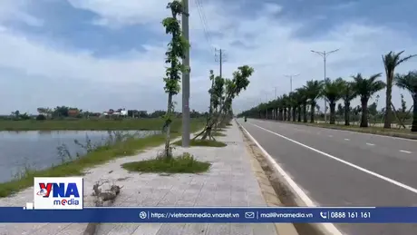 Làm rõ kỹ thuật trồng cây xanh trên tuyến đường ở Huế