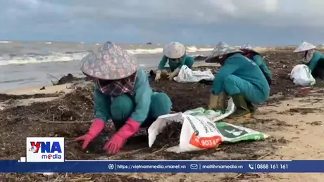 Quảng Trị thu gom rác tại bãi biển Nhật Lệ