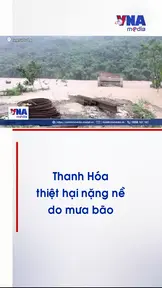 Thanh Hóa thiệt hại nặng nề do bão số 10