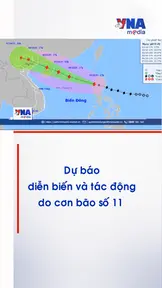 Dự báo diễn biến và tác động do cơn bão số 11 