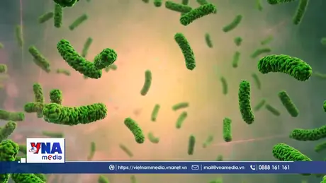 WHO kêu gọi tăng cường đầu tư giải quyết tình trạng siêu vi khuẩn kháng thuốc