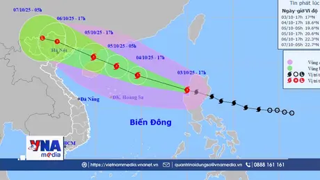 Dự báo diễn biến và tác động do cơn bão số 11