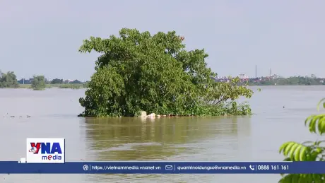 Sông Cầu trước nguy cơ lũ chồng lũ