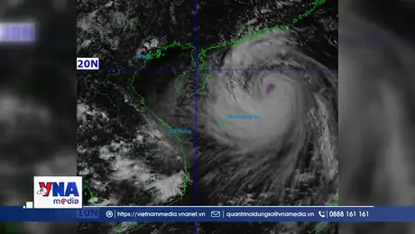 Bão số 11 cách Đặc khu Hoàng sa 310km