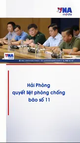 Hải Phòng quyết liệt phòng chống bão số 11
