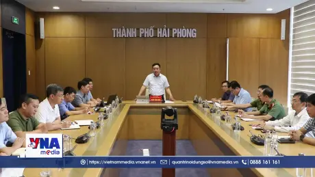Hải Phòng quyết liệt phòng chống bão số 11