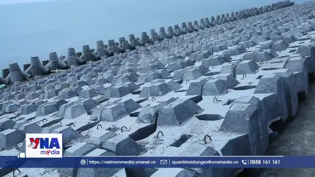 Ninh Bình đảm bảo an toàn cho hệ thống đê biển