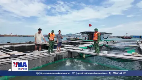 Lực lượng vũ trang tỉnh Quảng Ninh cùng nhân dân ứng phó bão số 11