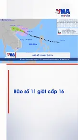 Bão số 11 giật cấp 16