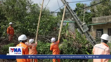 Nỗ lực khôi phục hệ thống điện sau bão số 10 tại Nghệ An