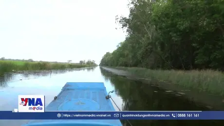 Hồi sinh hệ sinh thái vùng đất ngập nước ở Vườn Quốc gia Tràm Chim