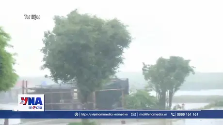 Bão số 11 suy yếu nhanh thành áp thấp nhiệt đới