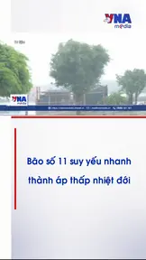 Bão số 11 suy yếu nhanh thành áp thấp nhiệt đới