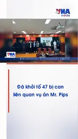 Đã khởi tố 47 bị can liên quan vụ án Mr. Pips