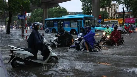 Hà Nội: Nhiều trường thông báo cho học sinh nghỉ học hoặc học trực tuyến ngày 7/10