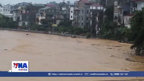 Thời tiết ngày 8/10/2025