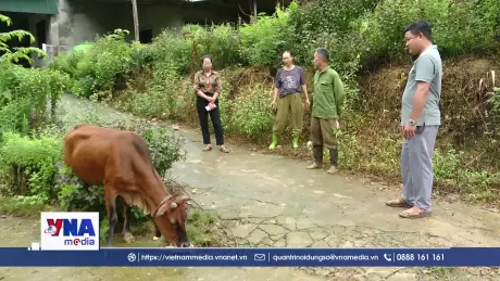 Phú Thọ chuyển mình từ chương trình Mục tiêu quốc gia