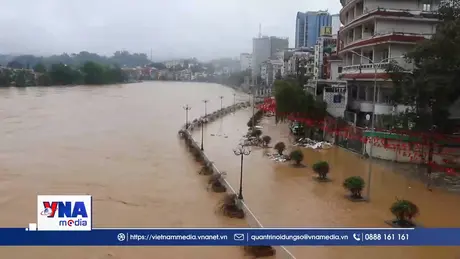 Trạm tin tối ngày 08/10/2025