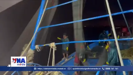 Bắt 2 tàu giã cào sai tuyến trên vùng biển của tỉnh Lâm Đồng