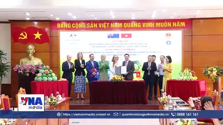 Bưởi Việt Nam tiến vào thị trường khắt khe nhất thế giới