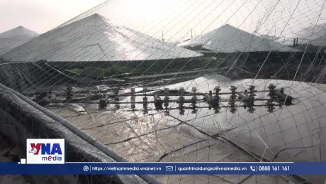 Khuyến nông Quốc gia hỗ trợ người dân vùng lũ Thanh Hóa tái thiết sản xuất