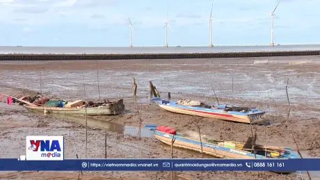 Cần Thơ công bố tình huống khẩn cấp sạt lở bờ biển tại xã Vĩnh Hải