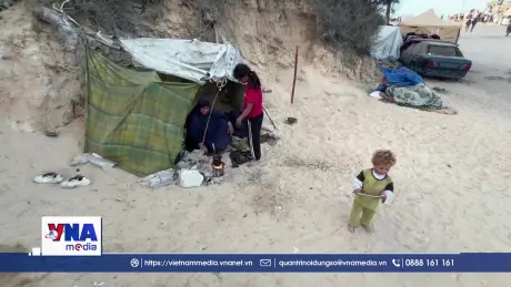 Người dân Palestine, Israel hoan nghênh lệnh ngừng bắn tại Gaza