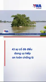 43 sự cố đê điều đang uy hiếp an toàn chống lũ