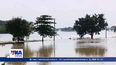 Trạm tin tối 11/10/2025