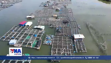 Phát huy lợi thế để phát triển bền vững nuôi trồng thủy sản