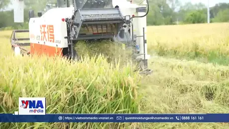 Trung Quốc thu mua lương thực tại các khu vực bị thiên tai