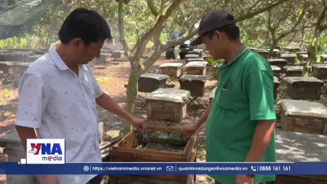 Người nông dân đưa mật ong Việt Nam ra thế giới