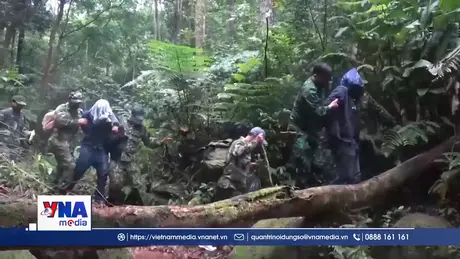 Quảng Trị quyết liệt ngăn ngừa tội phạm ma túy